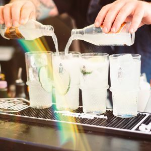 RÜBE Vodka mit Goldberg Tonic Water